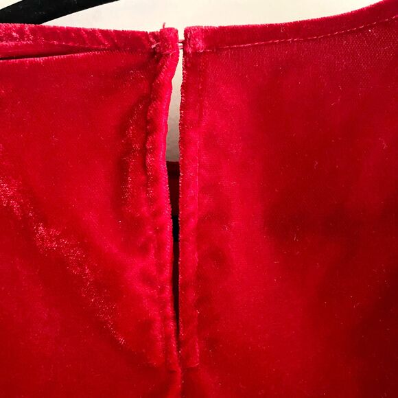 Zara Ruby Red Velour Ruffled Sleeve Semi-cropped Top - Picture 7 of 8